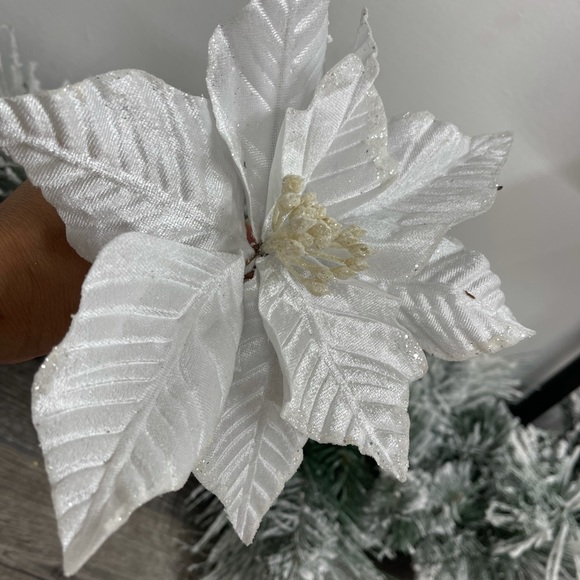 Other - 6 nochebuenas color blanco